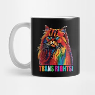 Trans Rights! Mug